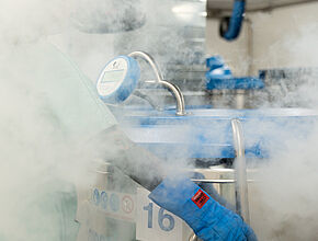 Agrandir l'image (fenêtre modale)