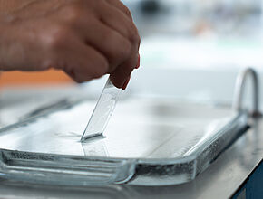 Agrandir l'image (fenêtre modale)